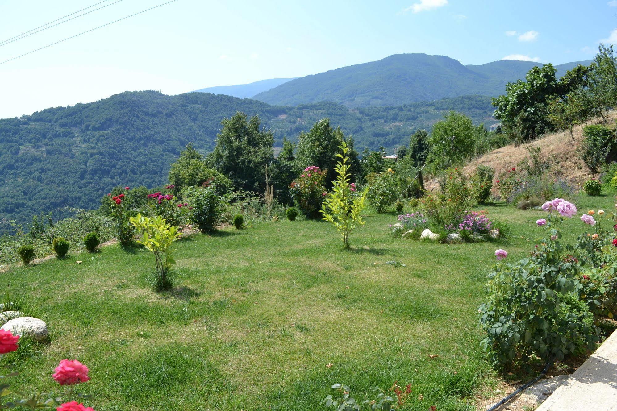 Guesthouse Kapaniaris Zagora Dış mekan fotoğraf