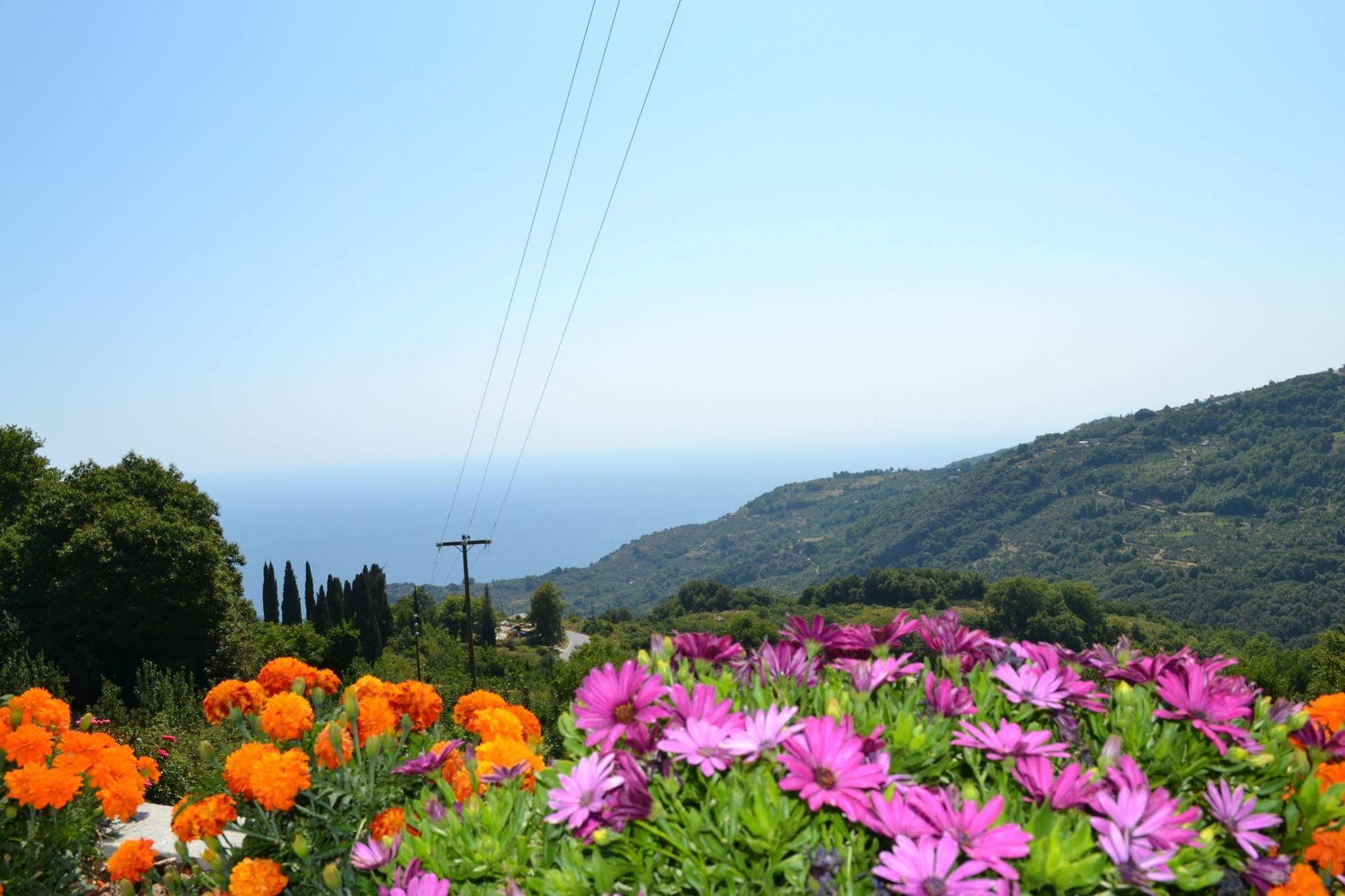 Guesthouse Kapaniaris Zagora Dış mekan fotoğraf